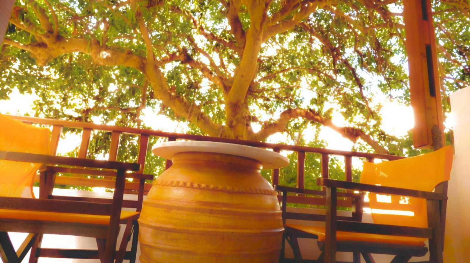 Guest house Tinos Heritage Plateia
